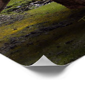 ベロキラプトルに攻撃された~ブラチオサウルスのポスター ポスター (角)