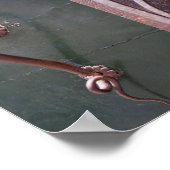 ベローナドアポスター ポスター (角)