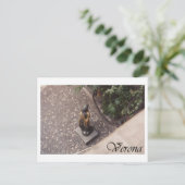 ベローナ ポストカード (スタンド正面)