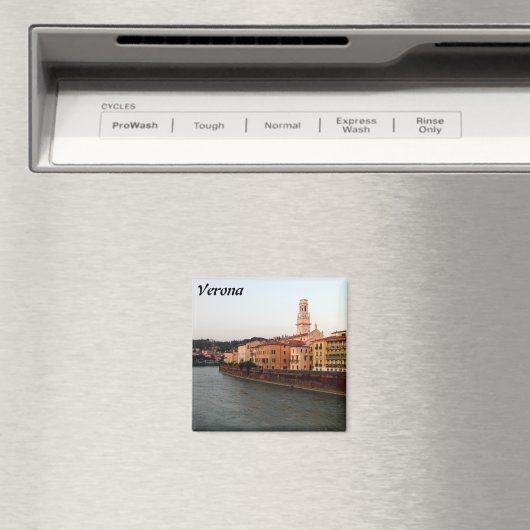 ベローナ マグネット (インサイチュ (食洗機))