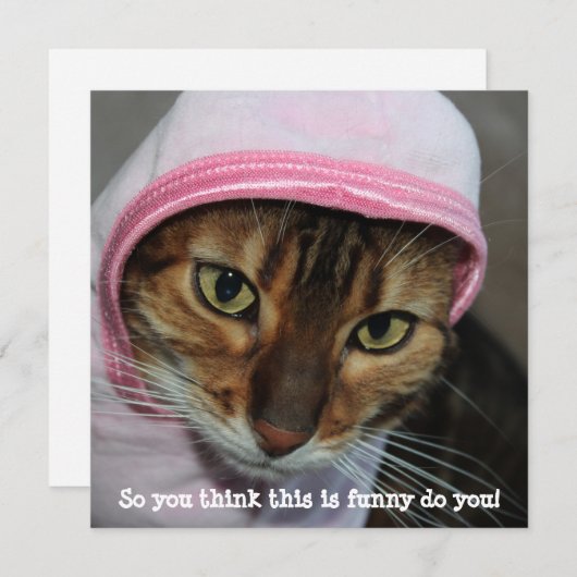 ベンおもしろいガル猫「考えこれはおもしろい...」 シーズンカード (正面/裏面)