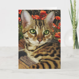 ベンガルのカードとシール カード