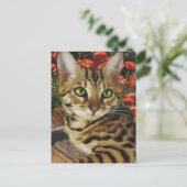 ベンガルのカードとシール ポストカード (スタンド正面)