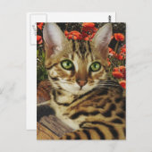 ベンガルのカードとシール ポストカード (正面/裏面)