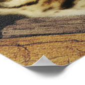 ベンガルのポスター ポスター (角)