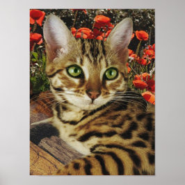 ベンガルのポスター ポスター