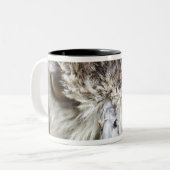 ベンガルのワシミミズク ツートーンマグカップ (正面左)