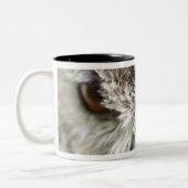 ベンガルのワシミミズク ツートーンマグカップ (左)