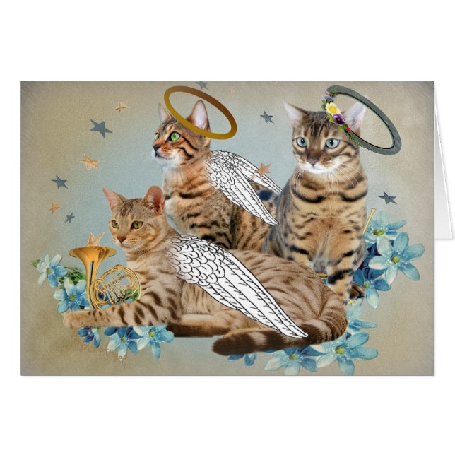 ベンガルの完全な天使カード (正面横)