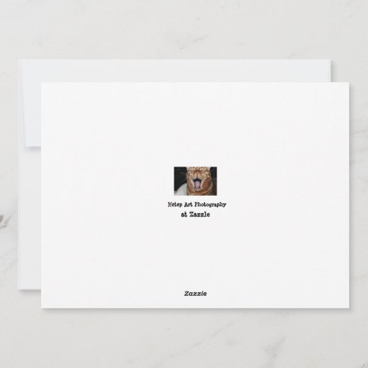 ベンガルの猫たちが挨拶をミーム シーズンカード (裏面)