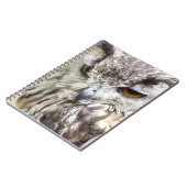 ベンガルイーグルフクロウ ノートブック (左側)