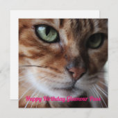 ベンガルキャットフォト誕生日デイカード シーズンカード (正面/裏面)