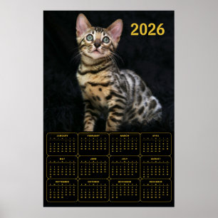 ベンガルキャット 2026年カレンダー ポスター