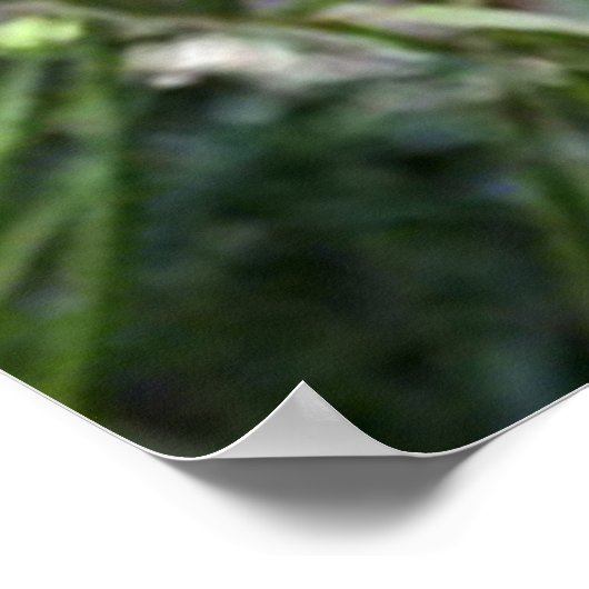 ベンガルタイガーあなたを見て2 ポスター (角)