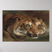 ベンガルタイガーがあなたのポスターを見て ポスター (正面)
