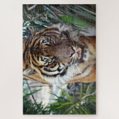 ベンガルタイガーがあなたを見て ジグソーパズル (縦)
