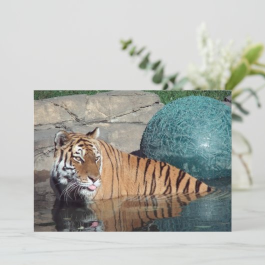 ベンガルタイガーのカスタマイズ可能な発表 案内状 (スタンド正面)