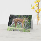 ベンガルタイガーのグリーティングカード カード (黄色い花)