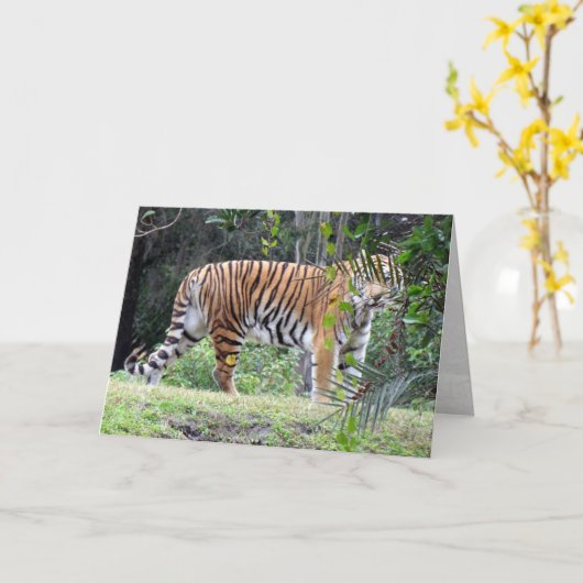 ベンガルタイガーのグリーティングカード カード (黄色い花)