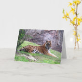 ベンガルタイガーのグリーティングカード(9601) カード (黄色い花)