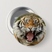 ベンガルタイガーのフルレイジかわいいボタンデザイン  缶バッジ (正面&裏面)