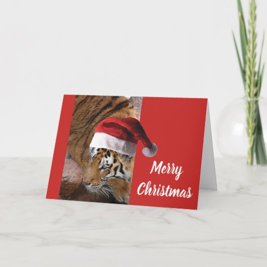 ベンガルタイガーアンタクロース カード (正面)