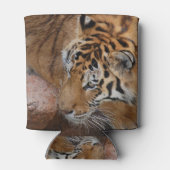 ベンガルタイガークーラーボックス 缶クーラー (裏面)