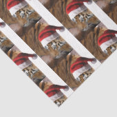 ベンガルタイガーサンタクロース 薄葉紙 (詳細)