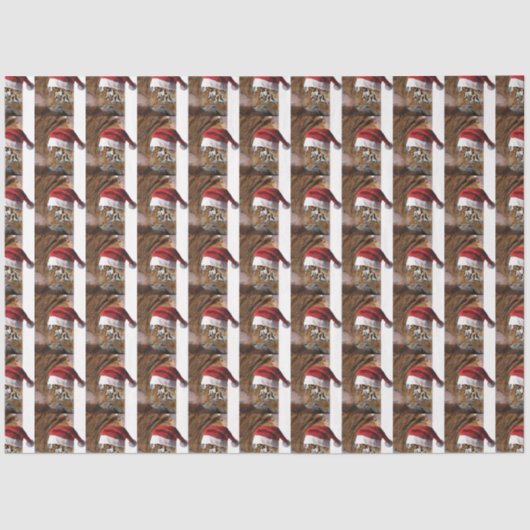 ベンガルタイガーサンタクロース 薄葉紙 (正面)