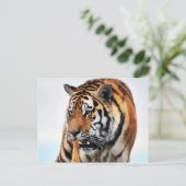 ベンガルタイガース野生生物 ポストカード (スタンド正面)