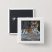 ベンガルタイガース 缶バッジ (正面&裏面)