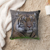 ベンガルタイガーピロー(4765) クッション (ブランケット)