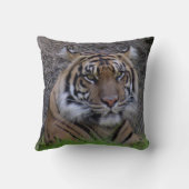 ベンガルタイガーピロー(4765) クッション (裏面)