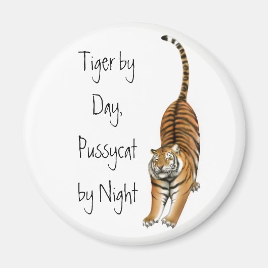 ベンガルタイガー磁石のストレッチ マグネット (正面)