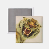 ベンガルタイガー野生動物大きな猫恋人の写真 マグネット (正面/裏面)