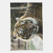 ベンガルタイガー キッチンタオル (縦)