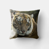 ベンガルタイガー クッション (裏面)