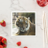 ベンガルタイガー スタンダードカクテルナプキン (インサイチュ)