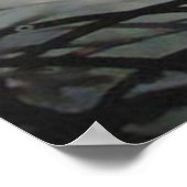 ベンガルタイガー ポスター (角)