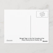 ベンガルタイガー ポストカード (裏面)