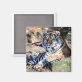 ベンガルタイガー マグネット (正面/裏面)