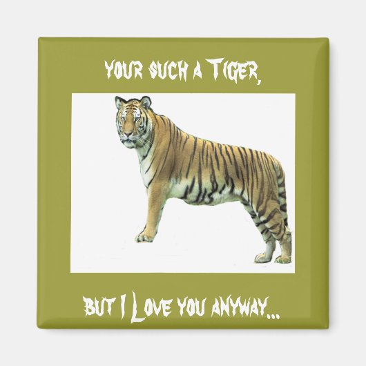 ベンガルタイガー マグネット (正面)