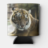 ベンガルタイガー 缶クーラー (正面)