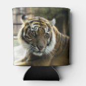 ベンガルタイガー 缶クーラー (裏面)