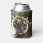 ベンガルタイガー 缶クーラー (缶裏面)