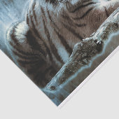 ベンガルタイガー 薄葉紙 (詳細)
