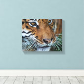ベンガルトラがアフリカに迫る キャンバスプリント (インサイチュ (ウッドフロア))