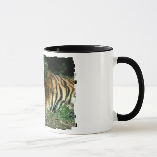 ベンガルトラのコーヒー・マグ マグカップ (右)