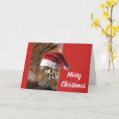 ベンガルトラのサンタクロース カード (黄色い花)