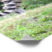 ベンガルトラのポスター ポスター (角)